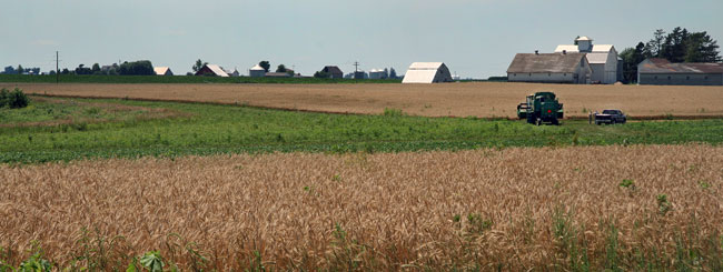 Breslin farm